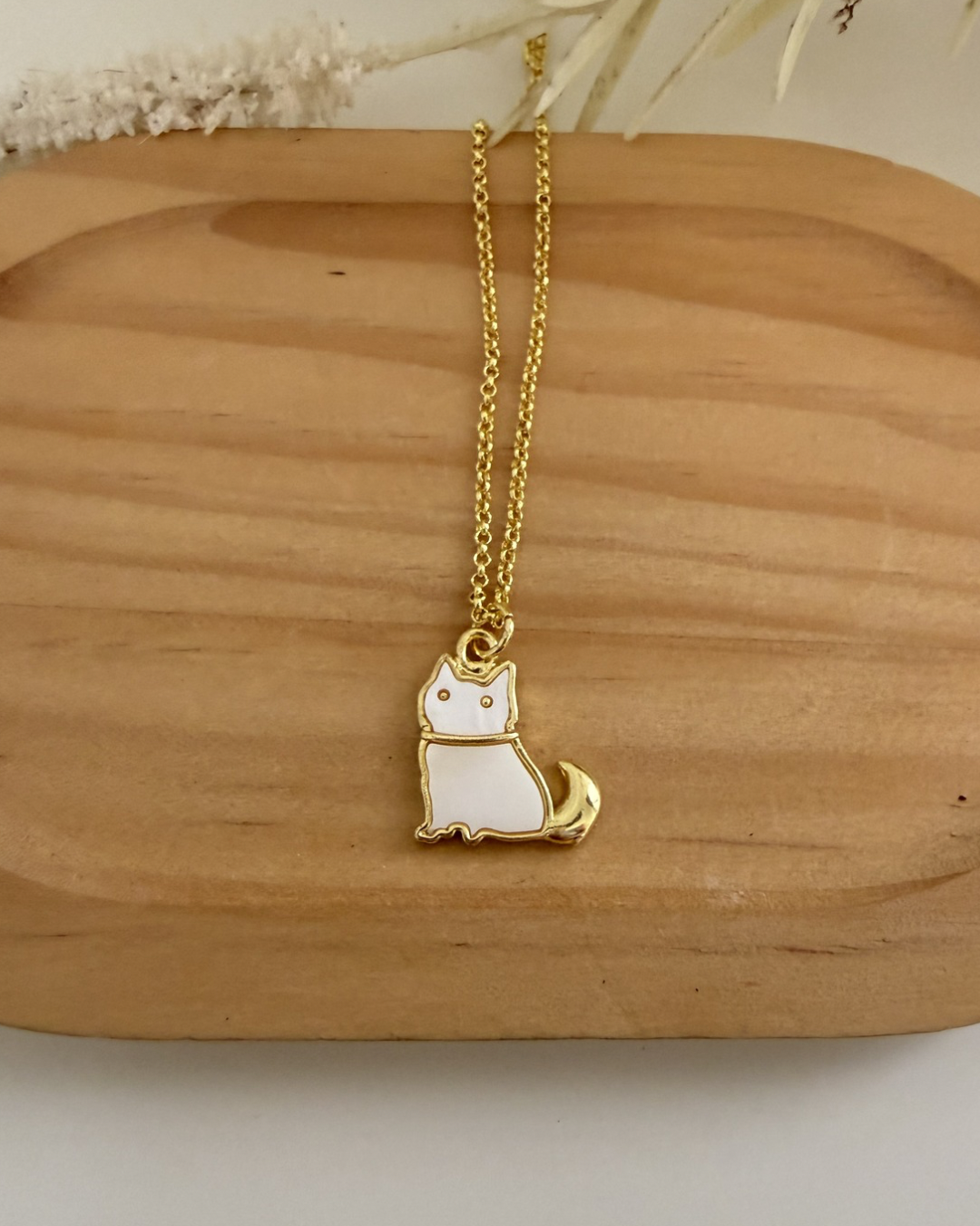 Cadena de Gato
