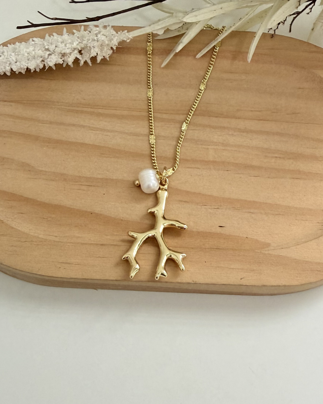 Cadena Coral