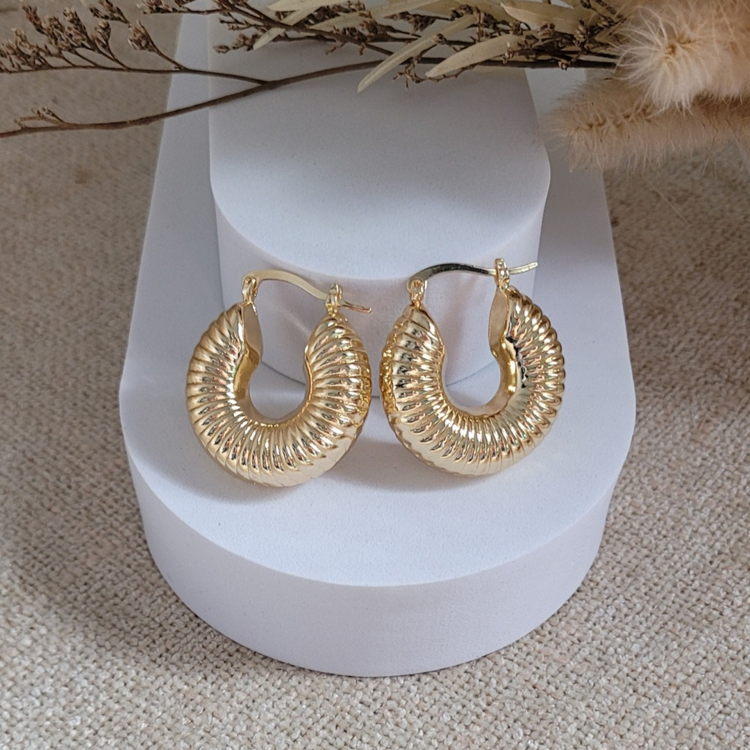 Aretes Ainara