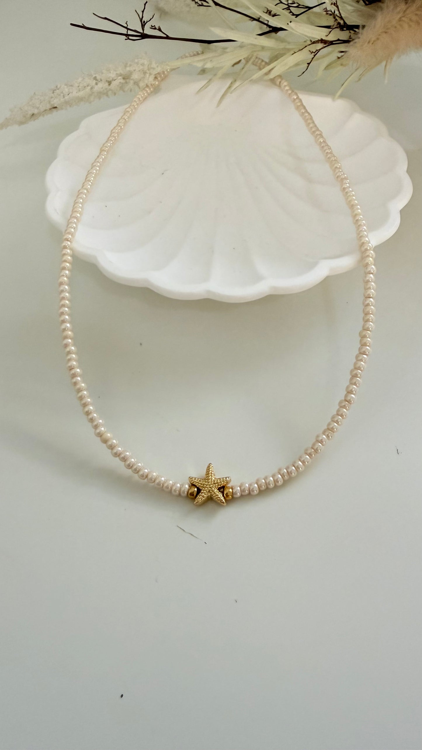 Collares Tortuga y Estrella de mar