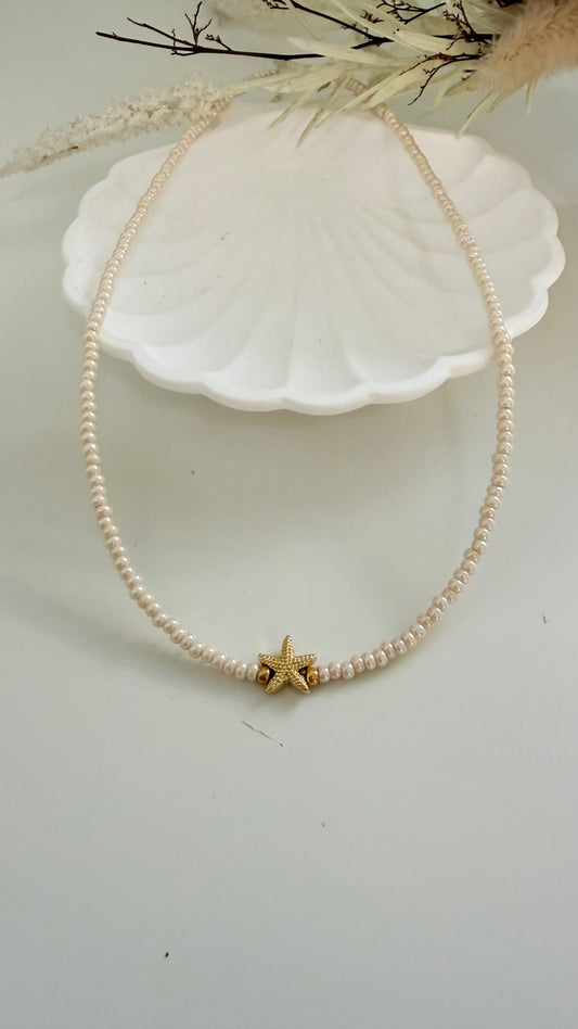 Collares Tortuga y Estrella de mar