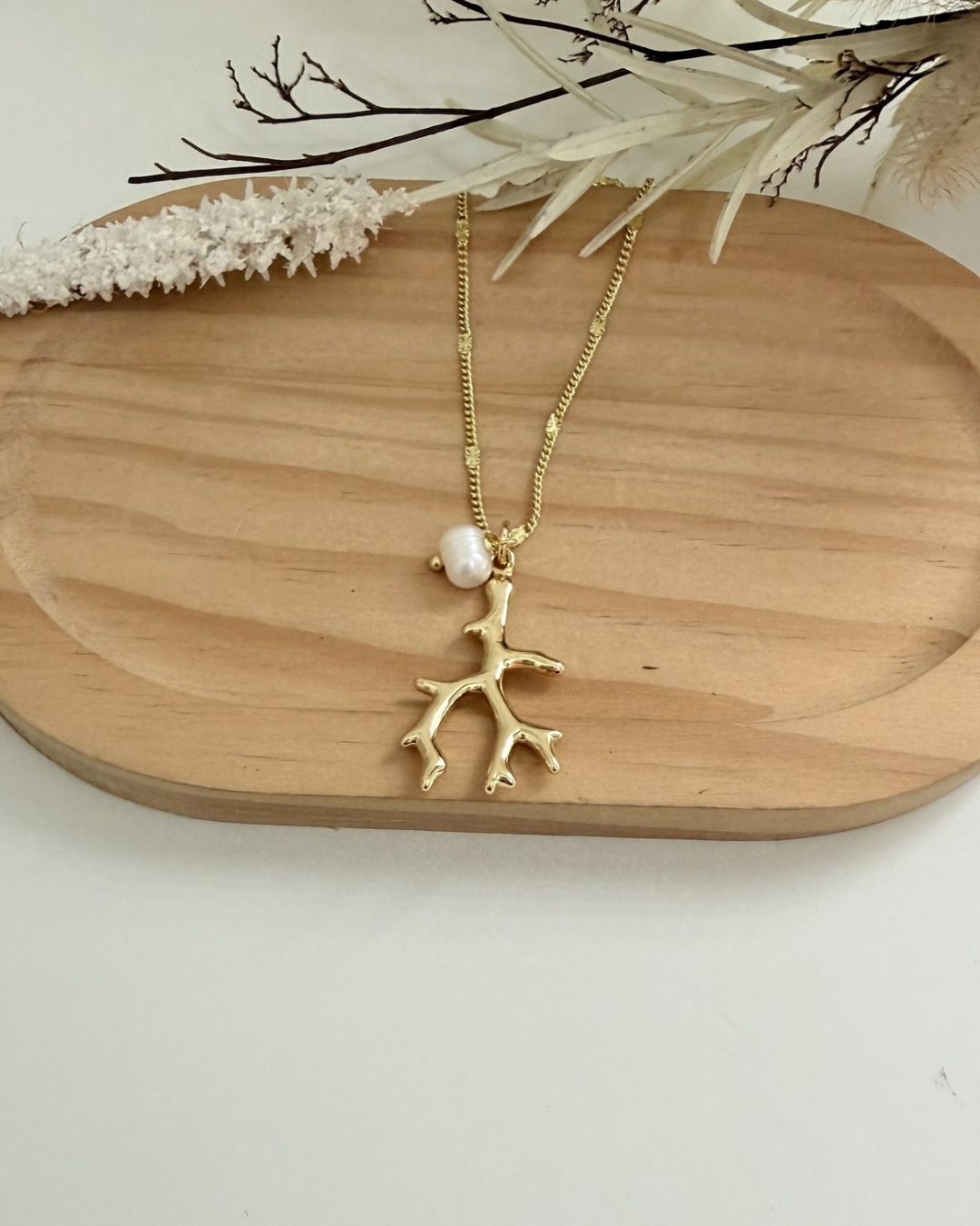 Cadena Coral
