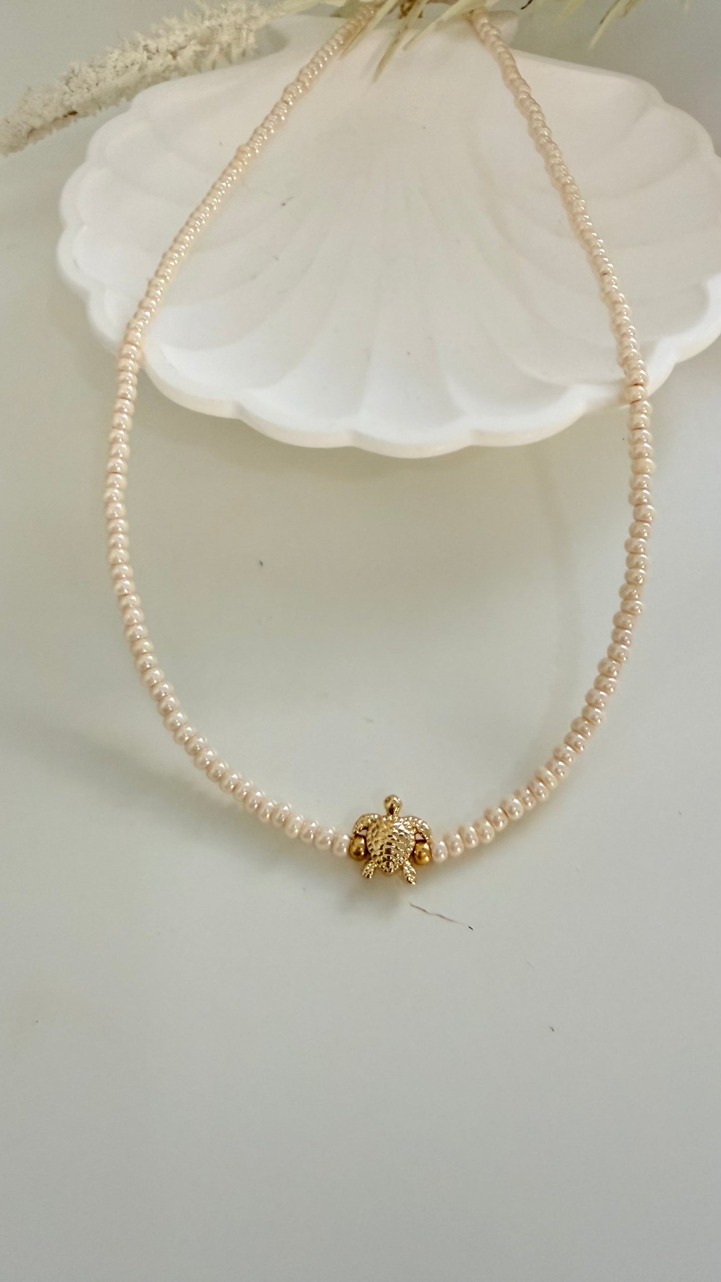 Collares Tortuga y Estrella de mar