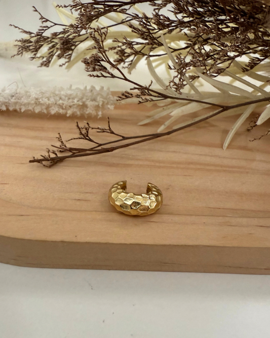 Caro earcuff
